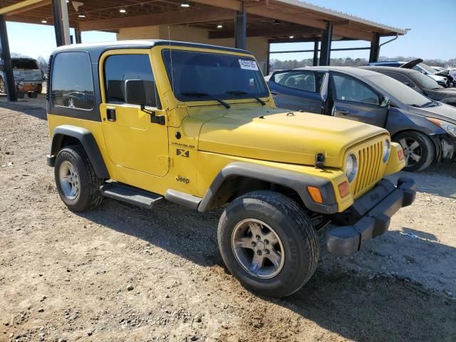 2002 Jeep Wrangler / TJ X