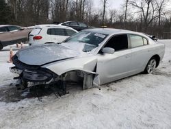 Dodge Charger salvage cars for sale: 2021 Dodge Charger SXT