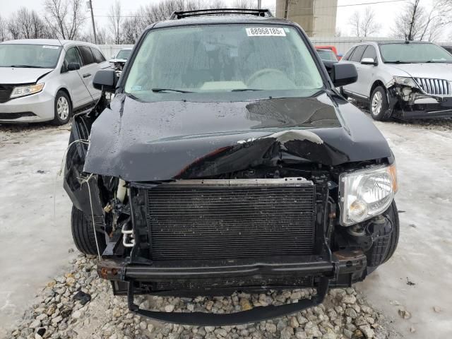 2010 Ford Escape XLS