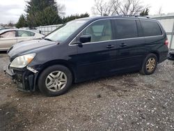 Honda Odyssey exl salvage cars for sale: 2007 Honda Odyssey EXL