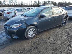 Toyota Corolla salvage cars for sale: 2016 Toyota Corolla L