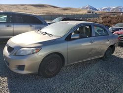 Toyota Corolla salvage cars for sale: 2009 Toyota Corolla Base