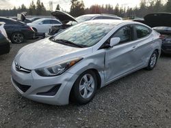 Hyundai Elantra salvage cars for sale: 2015 Hyundai Elantra SE