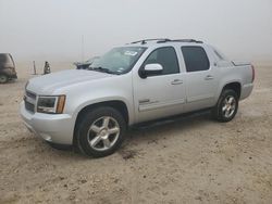 Chevrolet salvage cars for sale: 2013 Chevrolet Avalanche LT