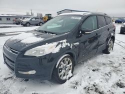 Ford salvage cars for sale: 2014 Ford Escape Titanium