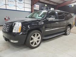 Cadillac salvage cars for sale: 2014 Cadillac Escalade ESV Luxury