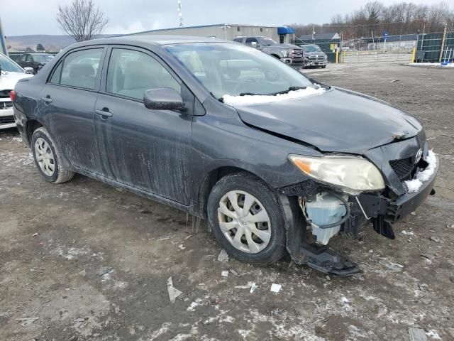 2010 Toyota Corolla Base