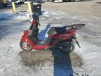 2024 Jiaj Moped
