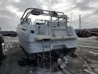 1998 Mariah 150 Motor