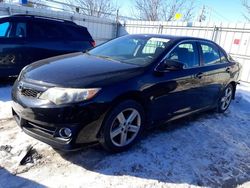 Toyota Camry salvage cars for sale: 2013 Toyota Camry L