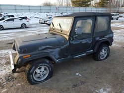 1995 Jeep Wrangler / YJ SE en venta en Davison, MI