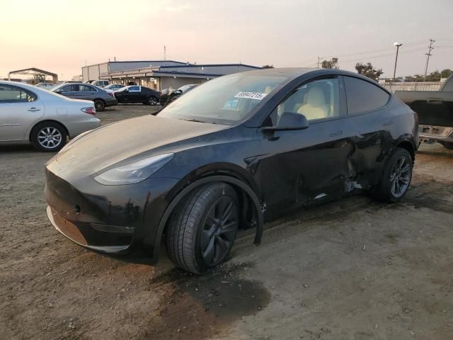 2025 Tesla Model Y