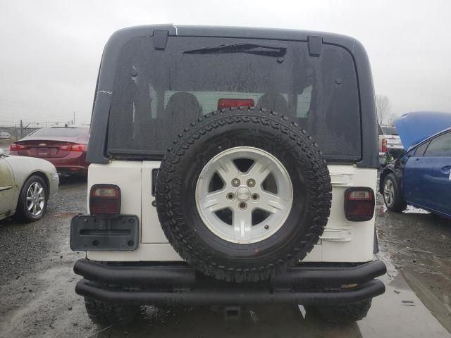 2002 Jeep Wrangler / TJ X