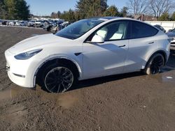 Tesla Model y salvage cars for sale: 2023 Tesla Model Y