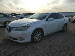 2012 Lexus ES 350 for sale in Phoenix, AZ