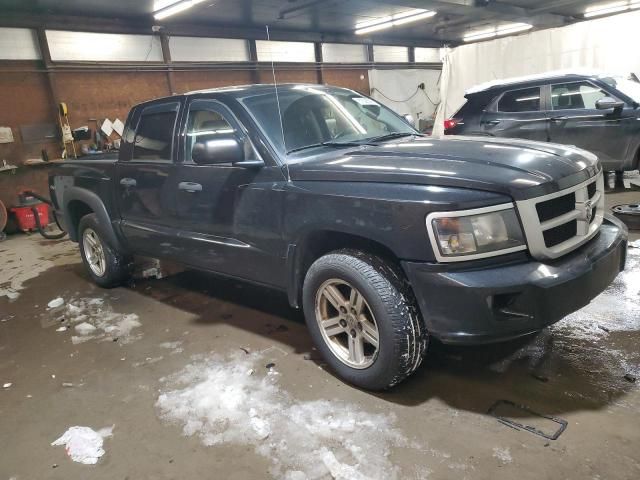 2010 Dodge Dakota SXT