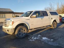 Ford salvage cars for sale: 2013 Ford F150 Supercrew