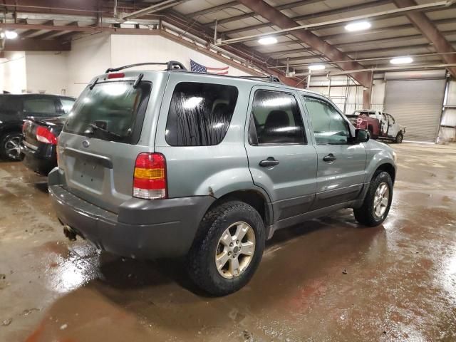 2005 Ford Escape XLT