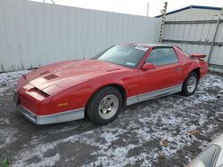 1987 Pontiac Firebird Trans AM for sale in Albany, NY