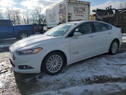 Ford Fusion salvage cars for sale: 2013 Ford Fusion SE Hybrid