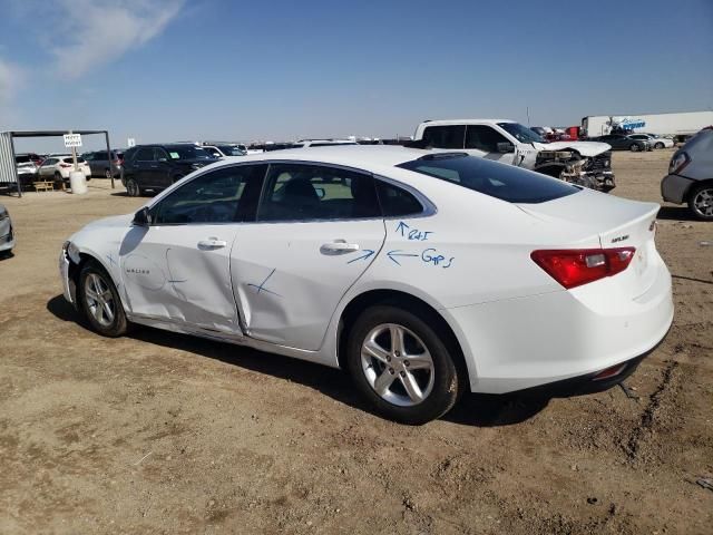 2024 Chevrolet Malibu LS