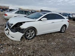 Salvage cars for sale from Copart Magna, UT: 2013 Hyundai Sonata SE