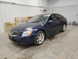 Nissan salvage cars for sale: 2007 Nissan Maxima SE