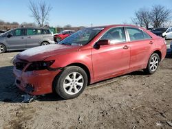 Toyota Camry salvage cars for sale: 2010 Toyota Camry Base