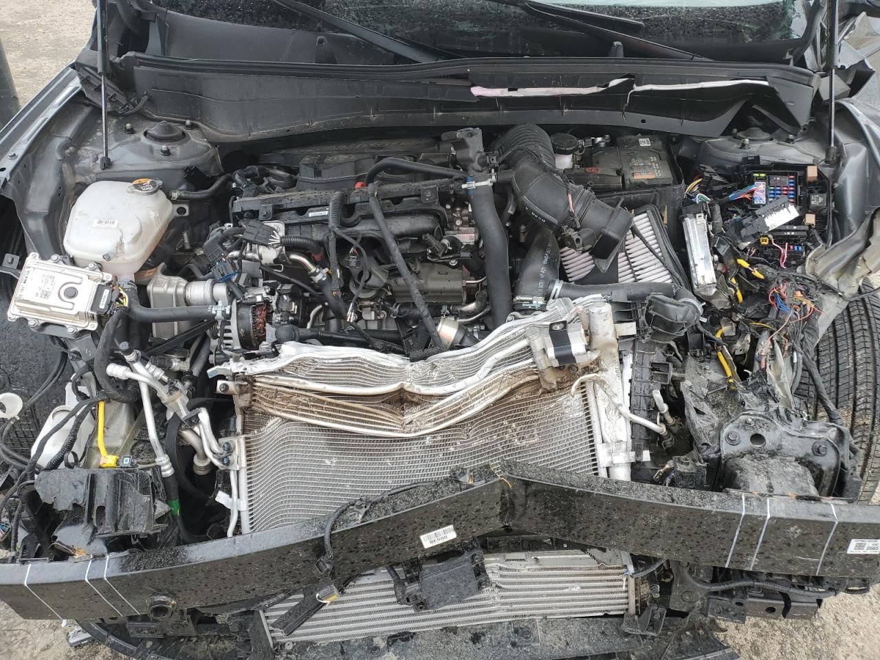 2025 Hyundai Kona Limited