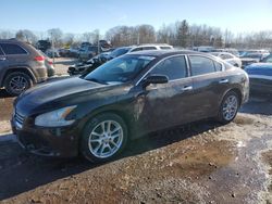 Nissan Maxima salvage cars for sale: 2012 Nissan Maxima S