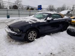 2009 Ford Mustang for sale in Walton, KY