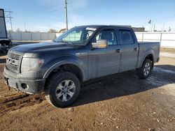 Ford salvage cars for sale: 2013 Ford F150 Supercrew