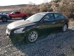 Nissan Maxima salvage cars for sale: 2009 Nissan Maxima S