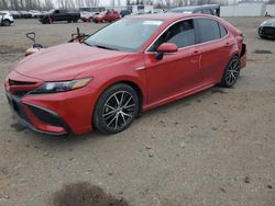 Salvage cars for sale from Copart Portland, OR: 2021 Toyota Camry SE