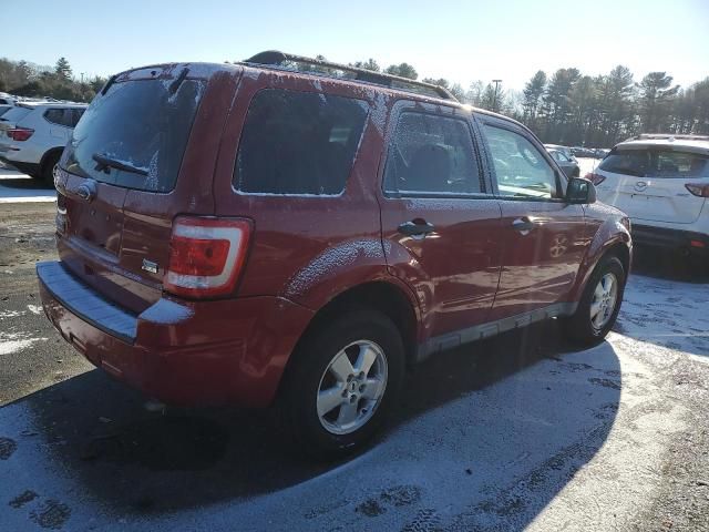 2011 Ford Escape XLT