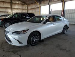 Lexus es300 salvage cars for sale: 2025 Lexus ES 300H Base