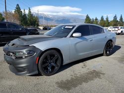 Salvage cars for sale from Copart Rancho Cucamonga, CA: 2021 Dodge Charger SXT