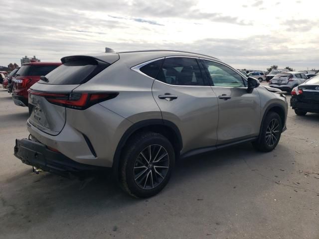 2024 Lexus NX 250 Premium