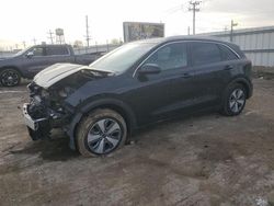 KIA Niro salvage cars for sale: 2019 KIA Niro FE