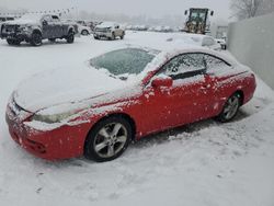 Toyota Camry Sola salvage cars for sale: 2008 Toyota Camry Solara SE