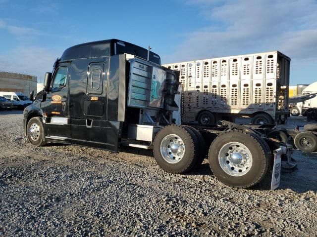 2025 Freightliner Cascadia 126