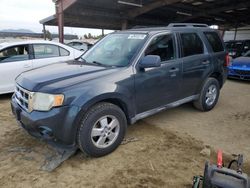 2009 Ford Escape XLT for sale in American Canyon, CA