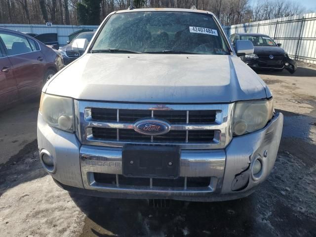 2010 Ford Escape Limited