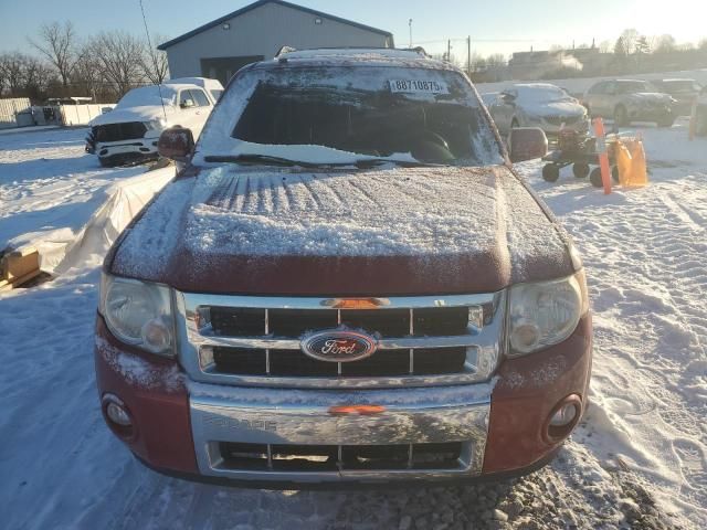 2011 Ford Escape Limited