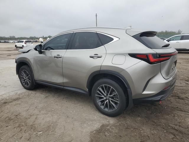 2022 Lexus NX 350