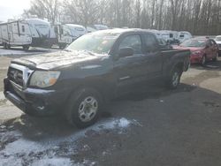 Toyota Tacoma Vehiculos salvage en venta: 2005 Toyota Tacoma Access Cab