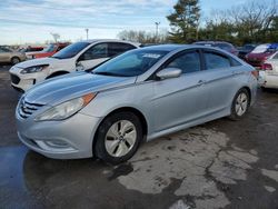 Hyundai Sonata salvage cars for sale: 2014 Hyundai Sonata GLS