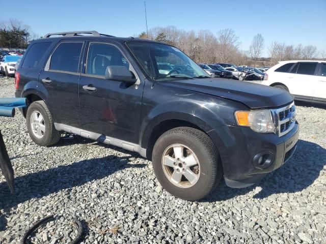 2012 Ford Escape XLT