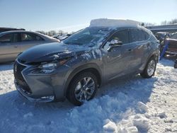 Lexus salvage cars for sale: 2017 Lexus NX 200T Base