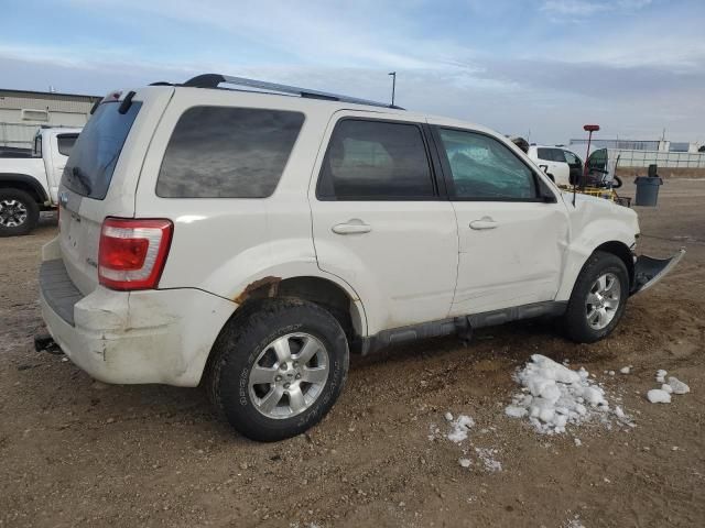 2009 Ford Escape Limited